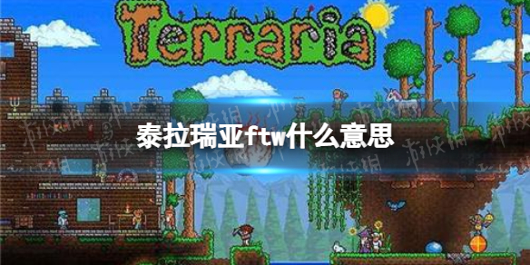 泰拉瑞亚ftw是什么意思 泰拉瑞亚ftw意思说明