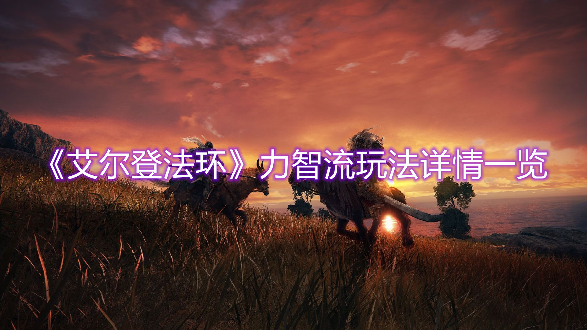 《艾尔登法环》力智流玩法详情一览