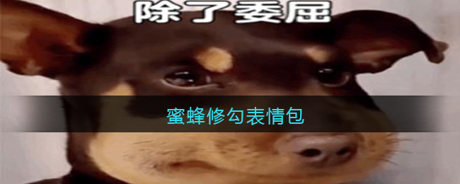 蜜蜂‌‌‌‌‌‌‌‌‌‌‌‌‌修勾表情包