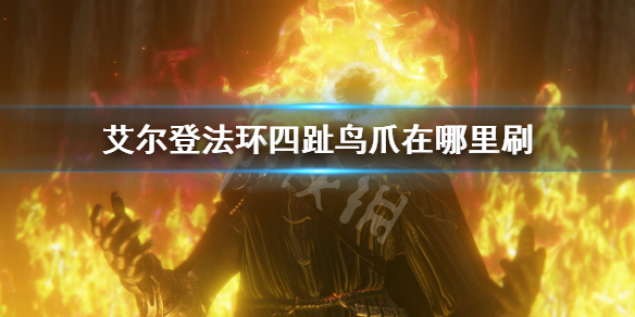 《艾尔登法环》四趾鸟爪在哪里刷 快速刷四趾鸟爪地点