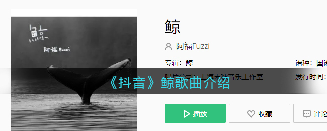 《抖音》鲸歌曲介绍