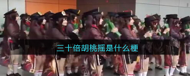 三十倍胡桃摇是什么梗