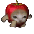 a138e6925021817c0ae15dcf471e0402.gif