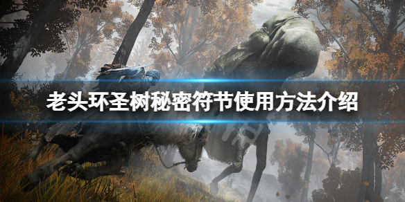 《艾尔登法环》圣树秘密符节怎么使用？圣树秘密符节使用方法介绍