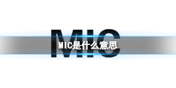MIC缩写介绍