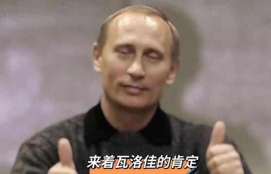 耗材是什么梗