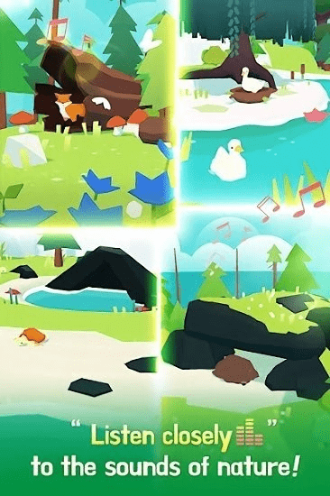Forest Island