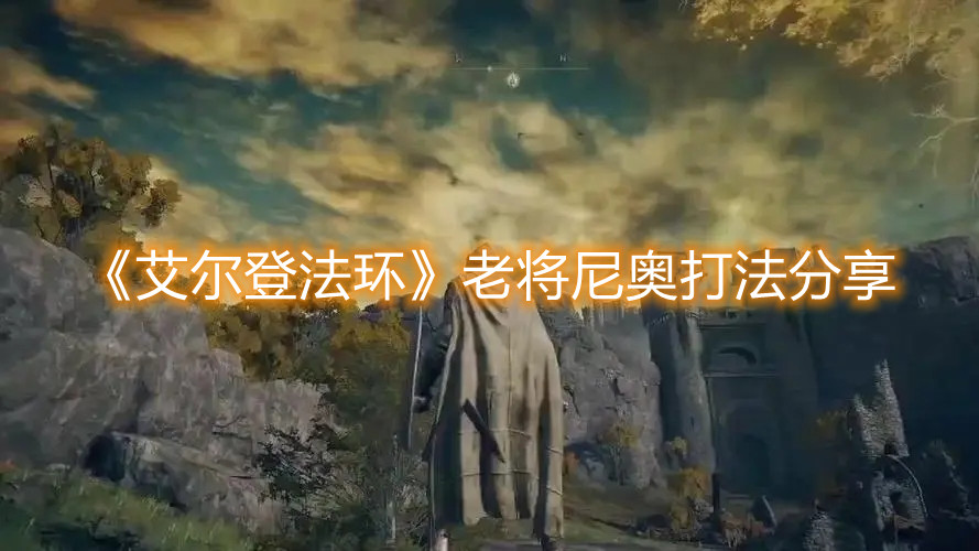 《艾尔登法环》老将尼奥打法分享
