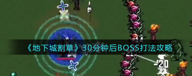 《地下城割草》30分钟后BOSS打法攻略