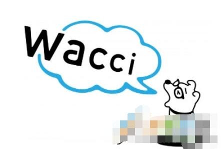 wacci是什么梗