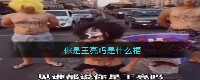 你是王亮吗是什么梗