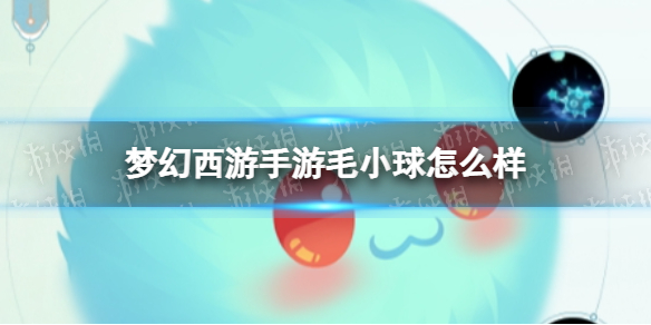梦幻西游手游毛小球怎么样 梦幻西游毛小球技能介绍