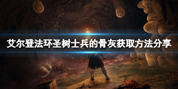 《艾尔登法环》圣树士兵的骨灰如何获取？圣树士兵的骨灰获取方法分享