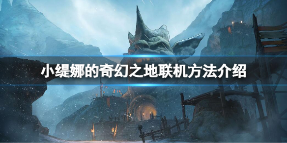《小缇娜的奇幻之地》如何联机？联机方法介绍