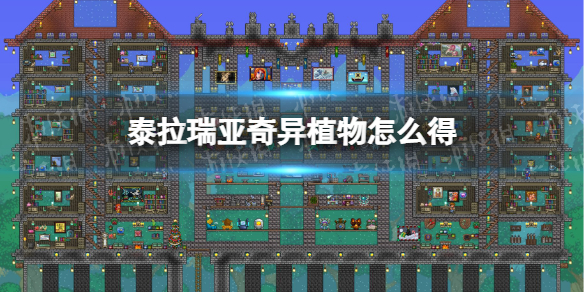 泰拉瑞亚奇异植物怎么得 泰拉瑞亚奇异植物获取方式介绍