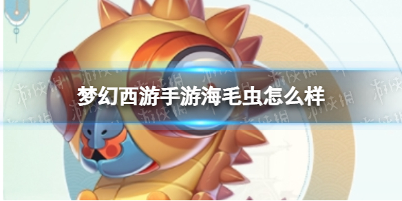 梦幻西游手游海毛虫怎么样 梦幻西游海毛虫技能介绍