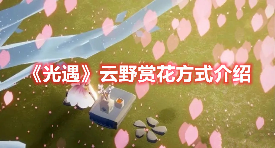 《光遇》云野赏花方式介绍