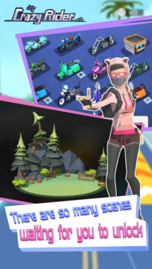 疯狂车手  V