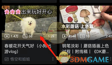 《哔哩哔哩》双击开关弹幕操作方法