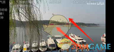 《哔哩哔哩》双击开关弹幕操作方法
