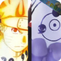 新版b