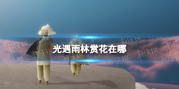 光遇雨林赏花在哪 光遇雨林赏花地点