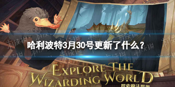 哈利波特3月30号更新了什么 3月30号更新公告说明