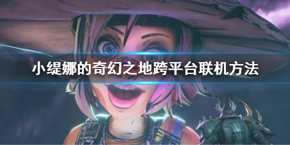 《小缇娜的奇幻之地》跨平台联机方法 怎么跨平台联机