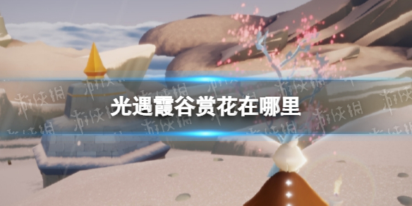 光遇霞谷赏花在哪里 光遇霞谷赏花位置