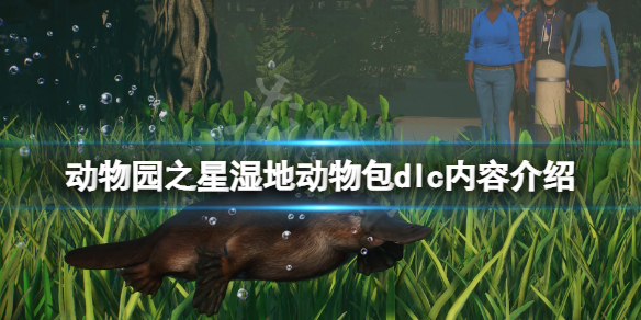 《动物园之星》湿地动物包有什么内容？湿地动物包dlc内容介绍