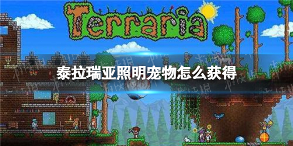 泰拉瑞亚照明宠物怎么获得 泰拉瑞亚照明宠物获取方式