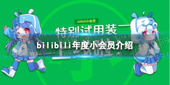 哔哩哔哩年度小会员什么意思 bilibili年度小会员介绍