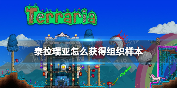 泰拉瑞亚怎么获得组织样本 泰拉瑞亚组织样本获取方式