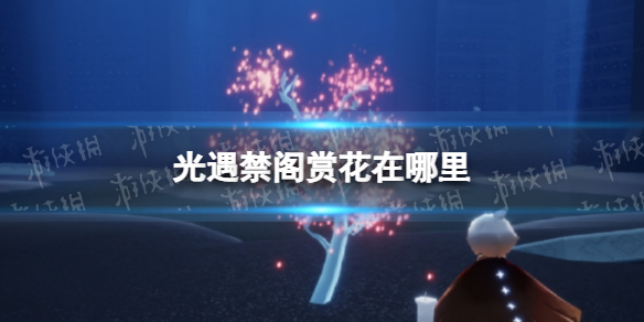 光遇禁阁赏花在哪里 光遇禁阁赏花位置