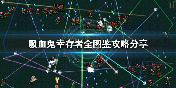 《吸血鬼幸存者》如何做到全图鉴收集？全图鉴攻略分享