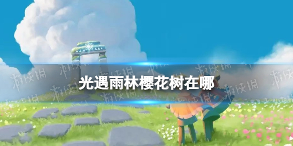 光遇雨林樱花树在哪 光遇雨林赏花的位置