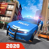 美国城市警车追逐USCityPolice