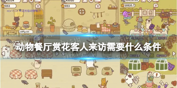 动物餐厅赏花客人来访需要什么条件 动物餐厅赏花客人条件介绍