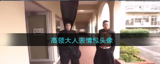 高领大人表情包头像