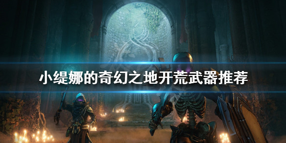 《小缇娜的奇幻之地》开荒武器如何选择？开荒武器推荐