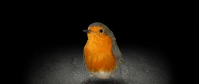 逆风笑解说Mitoza攻略全收集全成就手机版游戏