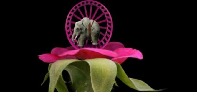 逆风笑解说Mitoza攻略全收集全成就手机版游戏