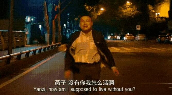 燕子没有你我怎么活啊是什么梗