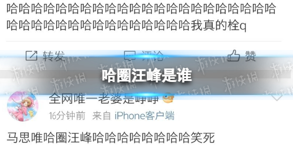 哈圈汪峰事件介绍