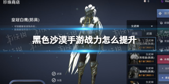 黑色沙漠手游战力怎么提升 黑色沙漠国服战力提升指南