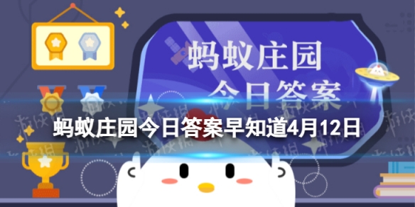 食物不咸不代表没盐猜猜以下哪种蔬菜含盐量更高 蚂蚁庄园今日答案早知道4月12日