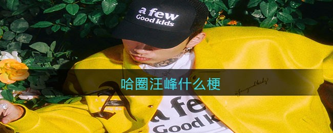 哈圈汪峰什么梗