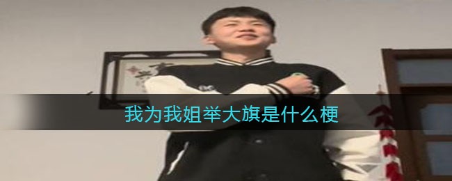 我为我姐举大旗是什么梗