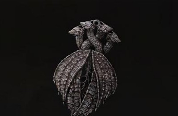 艾尔登法环传说护符怎么获得