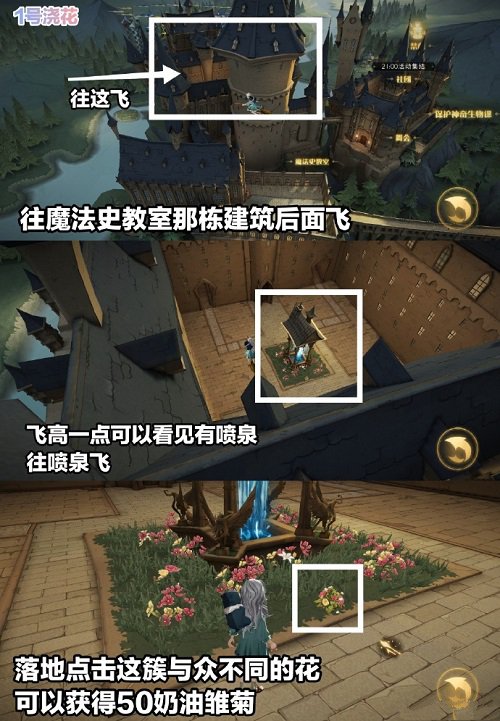 《哈利波特魔法觉醒》浇花彩蛋攻略